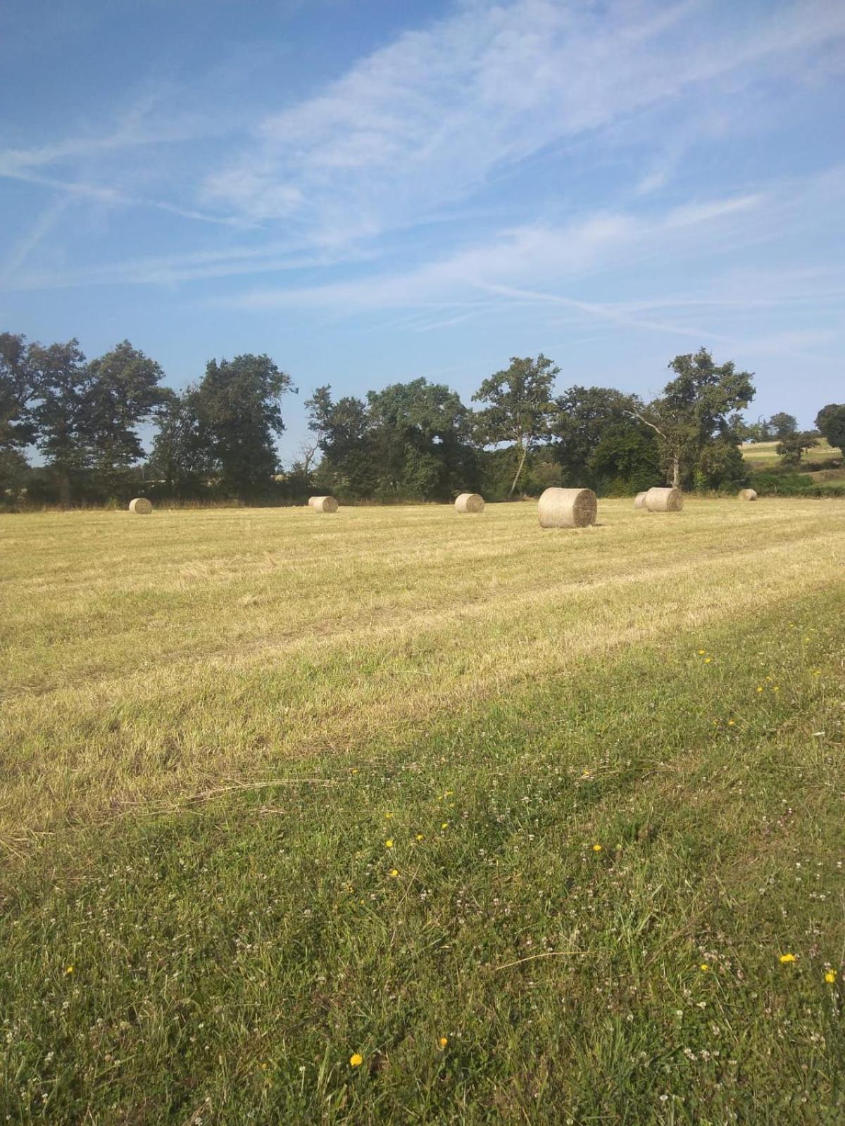 Holiday home Les Genets